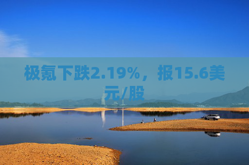 极氪下跌2.19%，报15.6美元/股