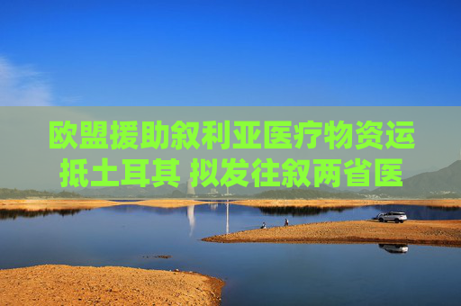 欧盟援助叙利亚医疗物资运抵土耳其 拟发往叙两省医疗机构