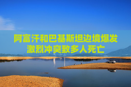 阿富汗和巴基斯坦边境爆发激烈冲突致多人死亡