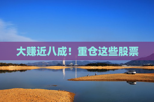 大赚近八成！重仓这些股票