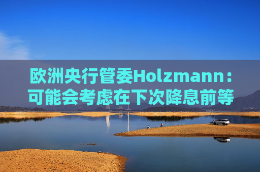 欧洲央行管委Holzmann：可能会考虑在下次降息前等待更长时间
