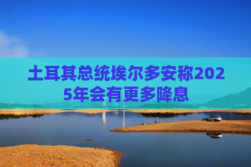 土耳其总统埃尔多安称2025年会有更多降息