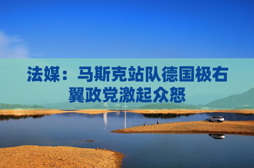 法媒：马斯克站队德国极右翼政党激起众怒