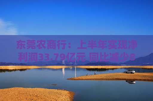 东莞农商行：上半年实现净利润33.79亿元 同比减少8.07%