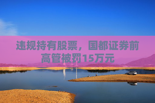 违规持有股票，国都证券前高管被罚15万元