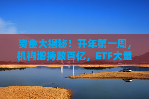 资金大揭秘！开年第一周，机构增持数百亿，ETF大量涌入……