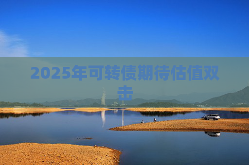 2025年可转债期待估值双击