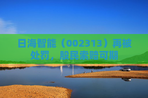 日海智能（002313）再被处罚，股民索赔可期