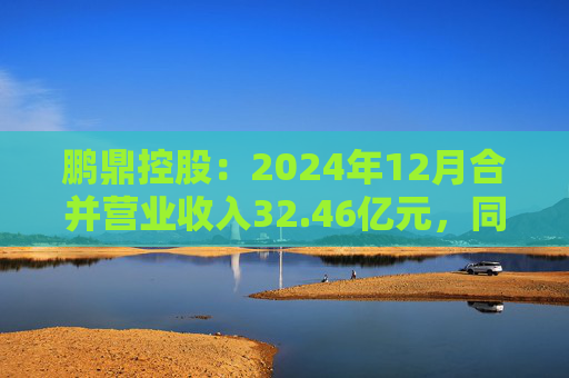 鹏鼎控股：2024年12月合并营业收入32.46亿元，同比增加2.29%