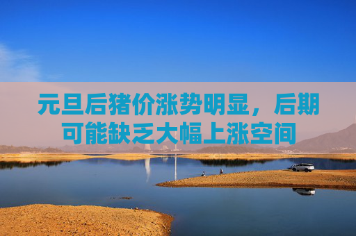 元旦后猪价涨势明显，后期可能缺乏大幅上涨空间