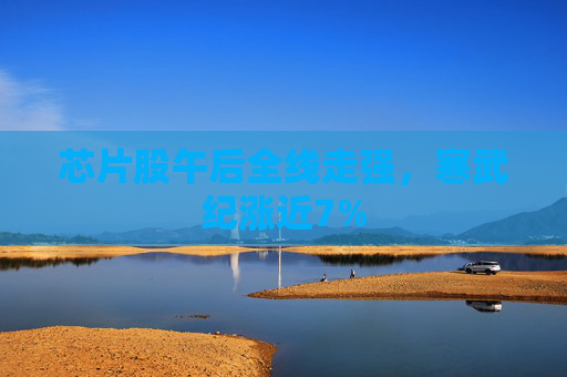 芯片股午后全线走强，寒武纪涨近7%
