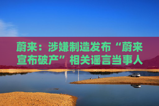 蔚来：涉嫌制造发布“蔚来宣布破产”相关谣言当事人被缉拿归案