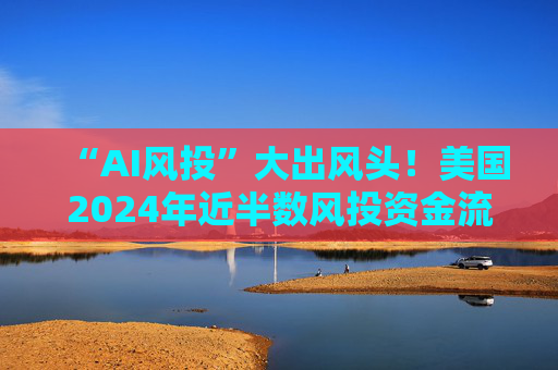 “AI风投”大出风头！美国2024年近半数风投资金流向AI公司