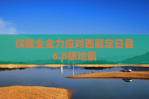 保险业全力应对西藏定日县6.8级地震