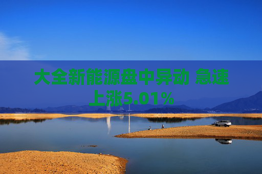 大全新能源盘中异动 急速上涨5.01%