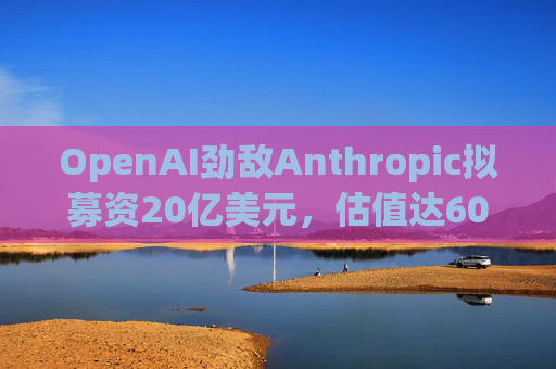 OpenAI劲敌Anthropic拟募资20亿美元，估值达600亿美元