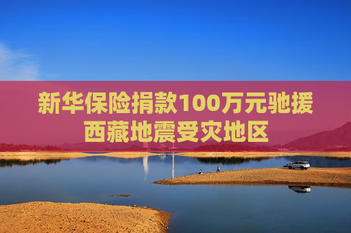 新华保险捐款100万元驰援西藏地震受灾地区