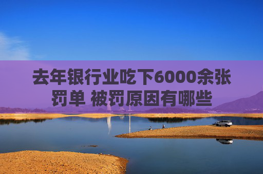 去年银行业吃下6000余张罚单 被罚原因有哪些