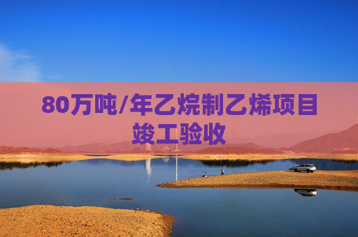 80万吨/年乙烷制乙烯项目竣工验收