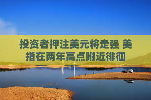 投资者押注美元将走强 美指在两年高点附近徘徊
