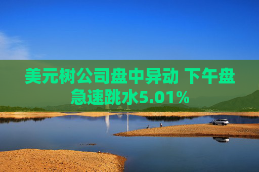 美元树公司盘中异动 下午盘急速跳水5.01%