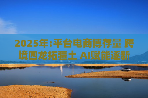 2025年:平台电商博存量 跨境四龙拓疆土 AI赋能逐新王