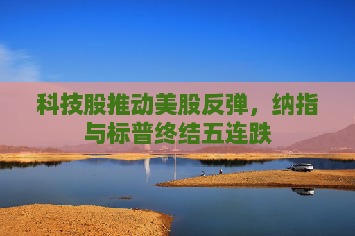 科技股推动美股反弹，纳指与标普终结五连跌