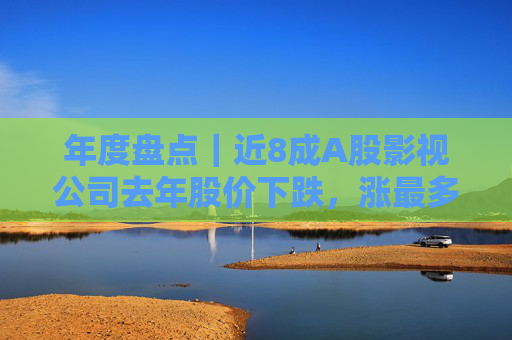 年度盘点｜近8成A股影视公司去年股价下跌，涨最多的不是最赚钱的