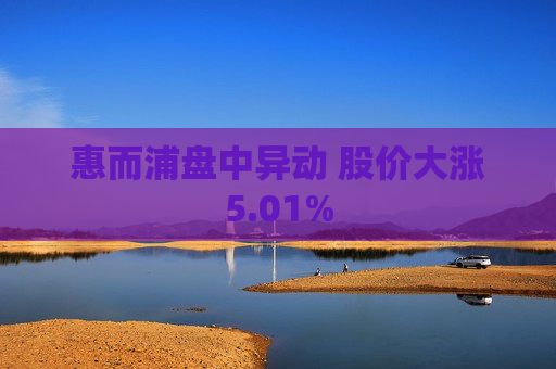 惠而浦盘中异动 股价大涨5.01%