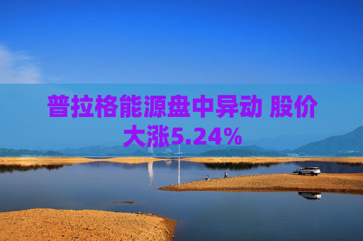 普拉格能源盘中异动 股价大涨5.24%