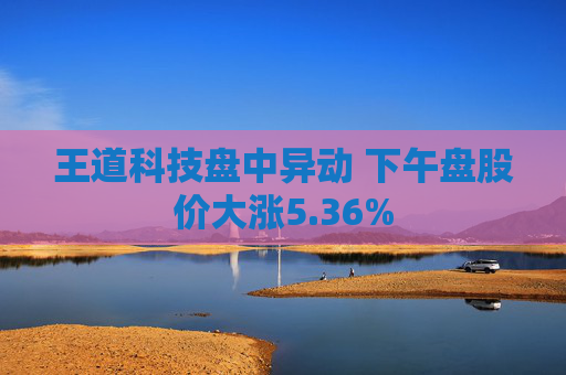 王道科技盘中异动 下午盘股价大涨5.36%
