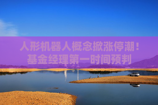 人形机器人概念掀涨停潮！基金经理第一时间预判