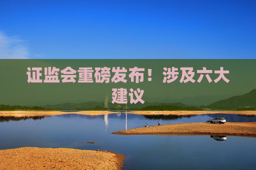 证监会重磅发布！涉及六大建议