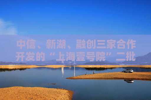 中信、新湖、融创三家合作开发的“上海壹号院”二批次开盘销售额达66亿元