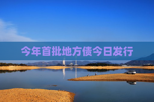 今年首批地方债今日发行