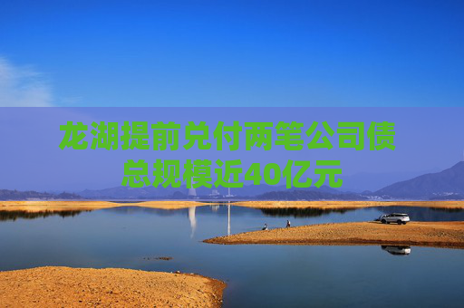 龙湖提前兑付两笔公司债 总规模近40亿元