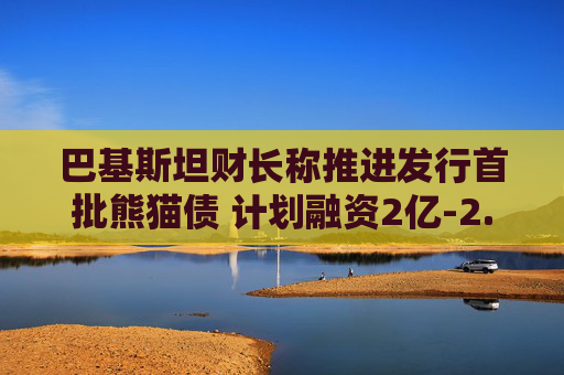 巴基斯坦财长称推进发行首批熊猫债 计划融资2亿-2.5亿美元