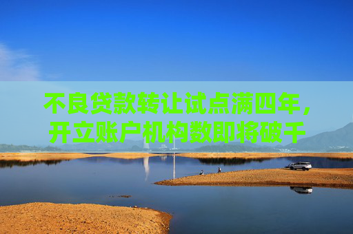 不良贷款转让试点满四年，开立账户机构数即将破千