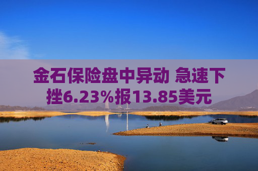 金石保险盘中异动 急速下挫6.23%报13.85美元