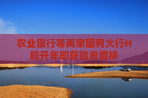 农业银行等两家国有大行H股开年即获险资增持