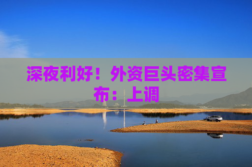 深夜利好！外资巨头密集宣布：上调