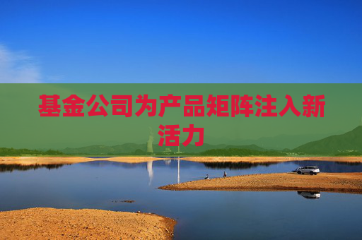基金公司为产品矩阵注入新活力