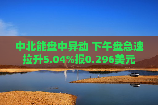 中北能盘中异动 下午盘急速拉升5.04%报0.296美元