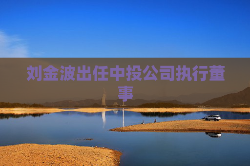 刘金波出任中投公司执行董事