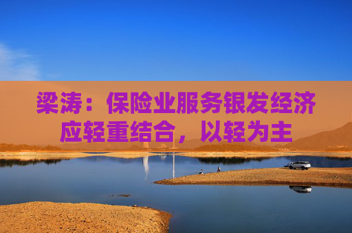 梁涛：保险业服务银发经济应轻重结合，以轻为主