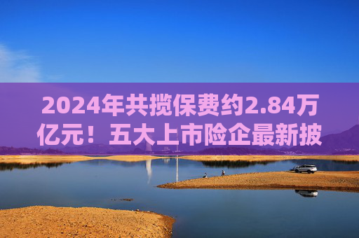 2024年共揽保费约2.84万亿元！五大上市险企最新披露