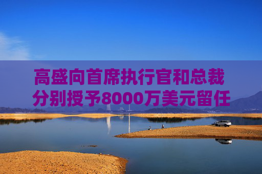 高盛向首席执行官和总裁 分别授予8000万美元留任奖励