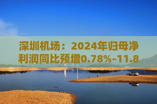 深圳机场：2024年归母净利润同比预增0.78%-11.88%