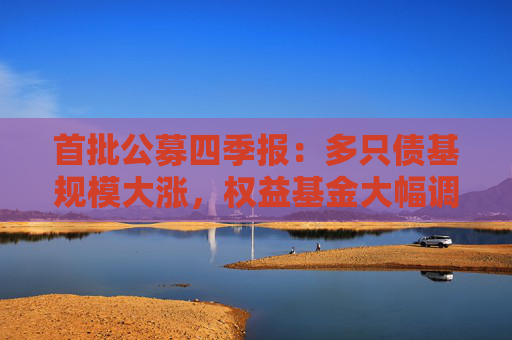 首批公募四季报：多只债基规模大涨，权益基金大幅调仓
