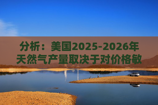 分析：美国2025-2026年天然气产量取决于对价格敏感的盆地